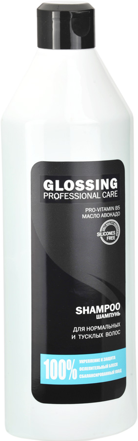  GLOSSING PROFESSIONAL CARE     , 500 .