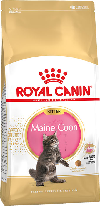    Royal Canin KITTEN MAIN COON   , 2 .