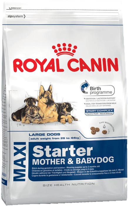    Royal Canin MAXI STARTER   //  2 . 4 
